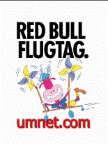game pic for Red Bull Flugtag  En